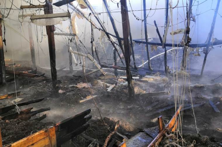 Пострадавшее от пожара тепличное хозяйство в Анадыре поддержат из окружного бюджета