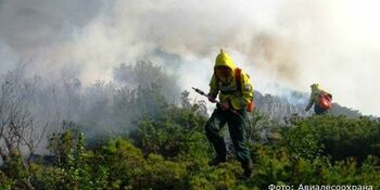 В Билибинском районе отменили режим чрезвычайной ситуации в лесах