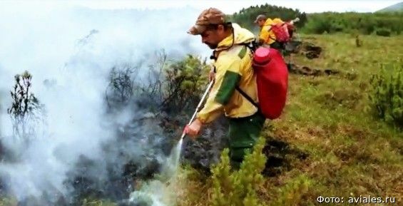 Сотрудники Авиалесоохраны борются с лесным пожаром у села Анюйск
