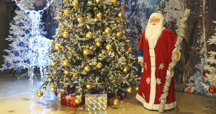 Афиша на праздники: как будут отмечать Новый год и Рождество на Чукотке