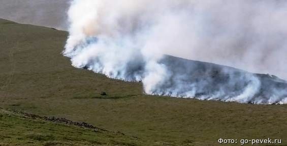 На Чукотке зарегистрировали три новых лесных пожара