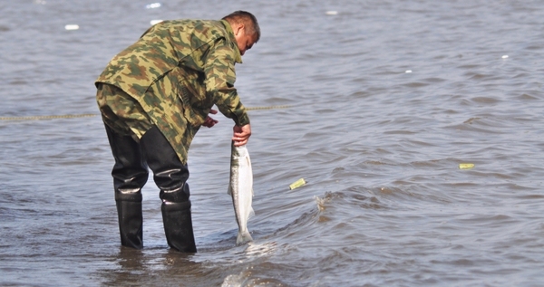 Режим проходных дней объявлен для рыбаков Чукотки