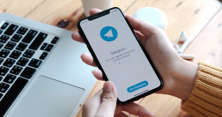 Telegram стал самым популярным мессенджером на Чукотке