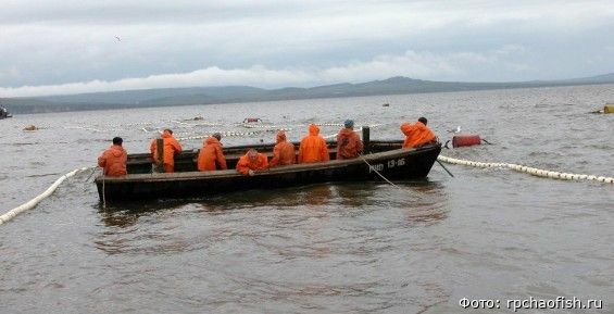 Более 140 тонн лососей выловили на Чукотке с начала путины
