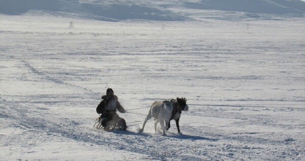 Бег с палкой, метание чаата, гонки на оленях: в Билибинском районе начался "Эракор"
