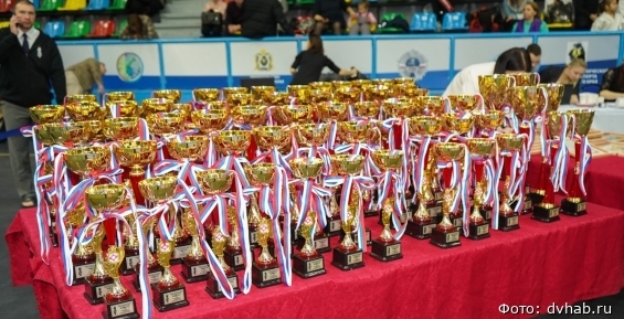Сборная Чукотки по каратэ приняла участие в межрегиональных соревнованиях