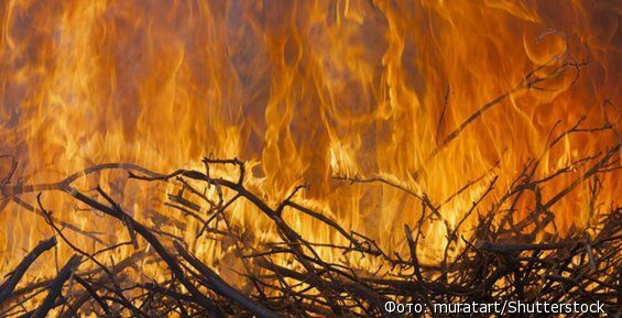 Лесной пожар недалеко от Билибино потушили на Чукотке