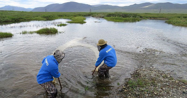 Экспедиция ихтиологов и гидробиологов начала работу на реках Чукотки