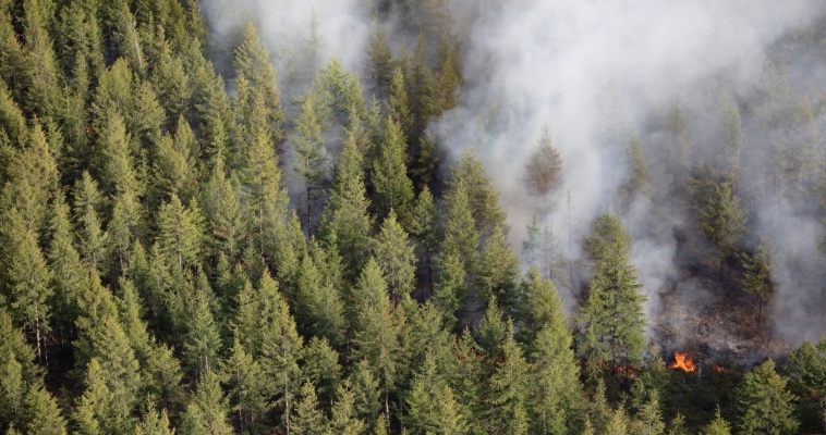 Крупные природные пожары потушили на Чукотке