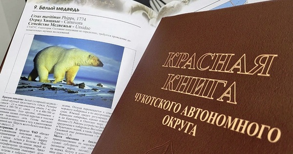 Красную книгу Чукотки обновили впервые за 14 лет