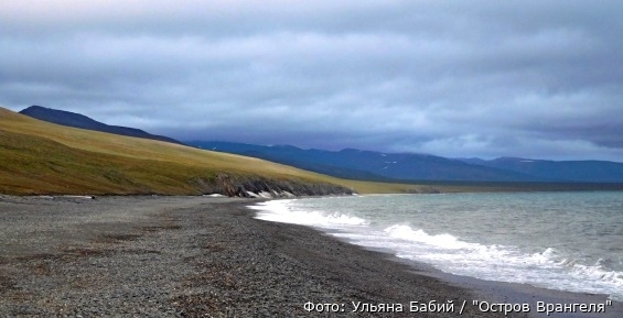 Изменения климата будут изучать на острове Врангеля учёные из Москвы и Перми