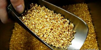 Около 21 тонны золота добыли на Чукотке с начала года