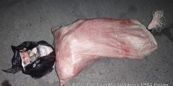 Полицейские предотвратили кражу 30 килограммов оленины на Чукотке
