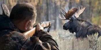 На Чукотке открылась охота на лося