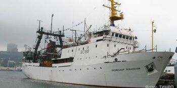 Учёные исследуют запасы минтая и краба в Чукотском море
