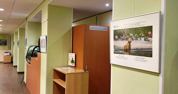 Фотовыставка "Россия – самая красивая страна" открылась в анадырском Сбере