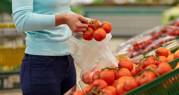 Первый урожай томатов вырастили в тепличном комплексе "Живая зелень" Анадыря