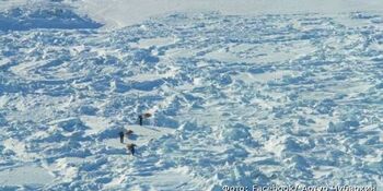 Экспедиции "Берингов мост" преградили путь трещины на льду Чукотского моря