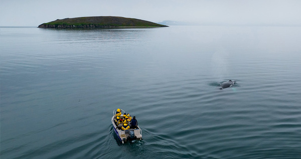 Новое оборудование для изучения китов получил нацпарк "Берингия"