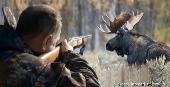 Законодательство об охоте скорректируют в интересах коренных народов Чукотки