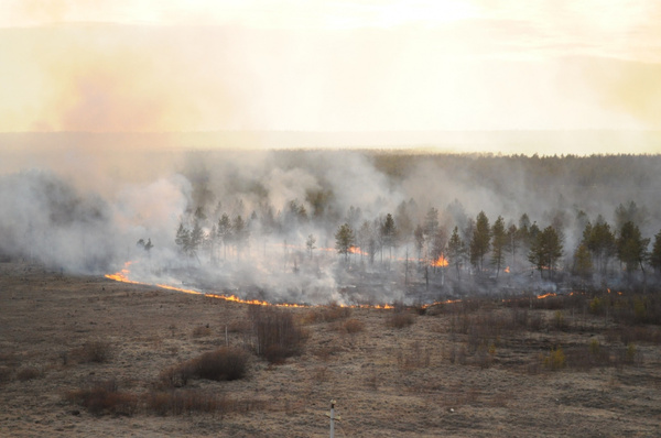 Количество лесных пожаров значительно сократилось на Чукотке