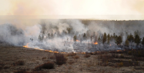 Природный пожар почти на тысячу гектаров бушует на Чукотке