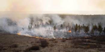 Природный пожар почти на тысячу гектаров бушует на Чукотке
