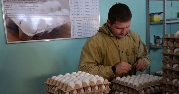 Более чем на треть увеличили производство куриного яйца на Чукотке с начала года