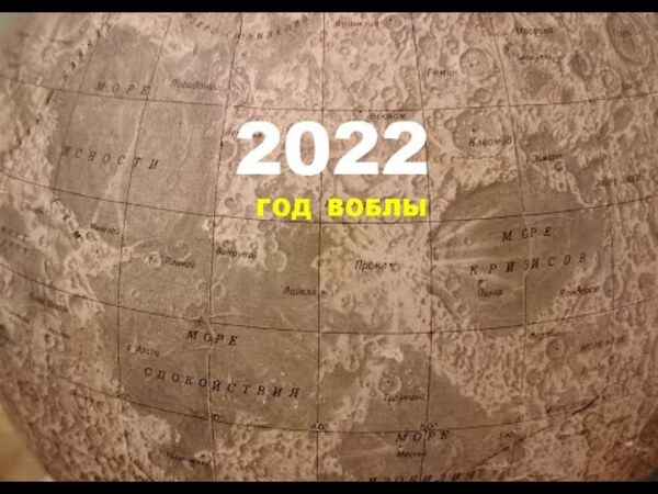 2022: ГОД ВОБЛЫ