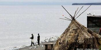 Власти ждут отчеты коренных жителей Чукотки о традиционной рыбалке 