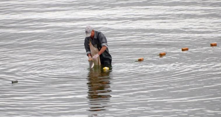 11 участков для любительского рыболовства на Чукотке выставили на конкурс