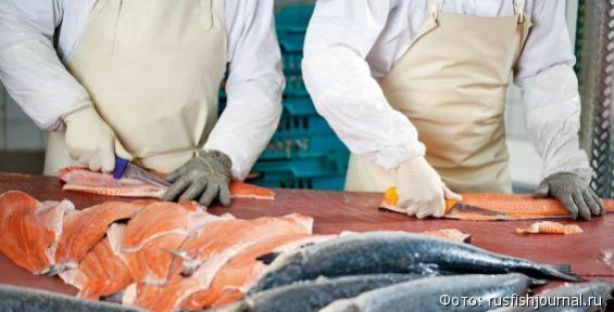 Новый резидент ТОР построит рыбоперерабатывающий завод в Анадыре