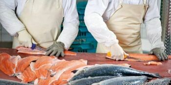 Новый резидент ТОР построит рыбоперерабатывающий завод в Анадыре