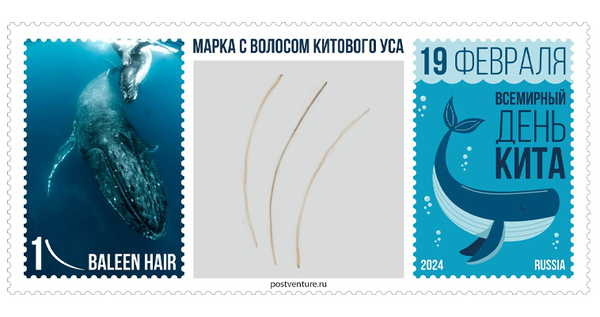 Найденный на Чукотке китовый ус использовали при создании уникальной марки