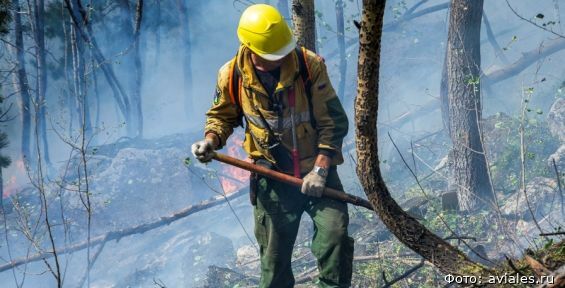 Парашютисты-десантники вручную потушили крупный лесной пожар на Чукотке
