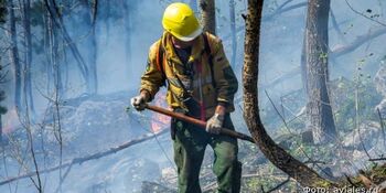 Парашютисты-десантники вручную потушили крупный лесной пожар на Чукотке