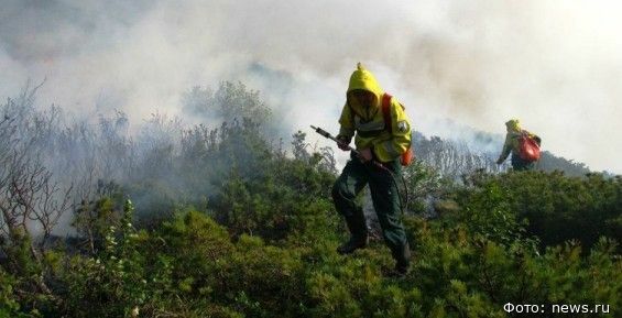 На Чукотке в этом году произошло 111 лесных пожаров 