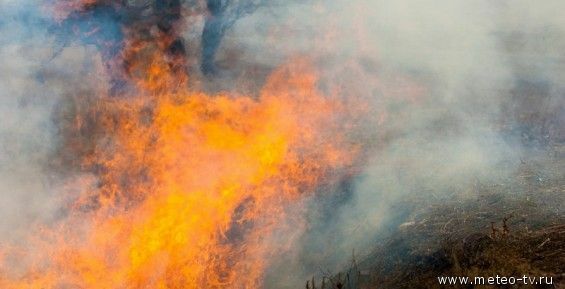 Лесной пожар тушат в Анадырском районе