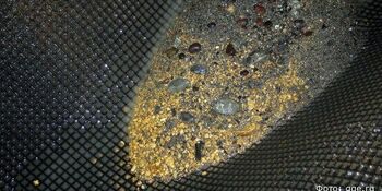 Резидент ТОР "Чукотка" добыл более 30 кг россыпного золота