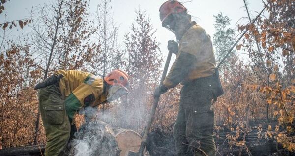 Четыре новых лесных пожара обнаружили на Чукотке