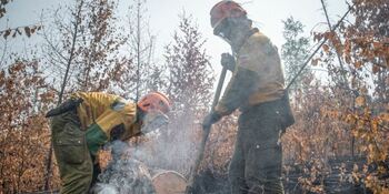 Четыре новых лесных пожара обнаружили на Чукотке
