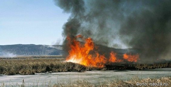  Два лесных пожара тушат на Чукотке 
