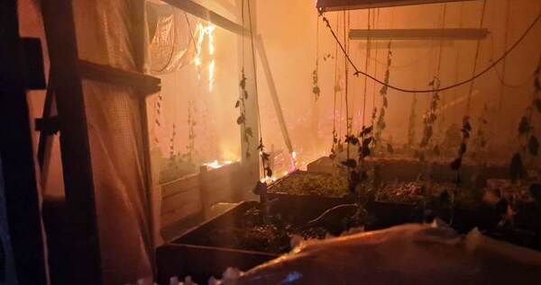 В крупнейшем тепличном хозяйстве Анадыря произошёл пожар