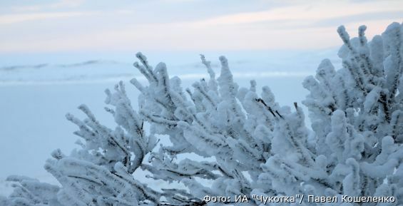 Прогноз погода по Чукотскому автономному округу на 25 января