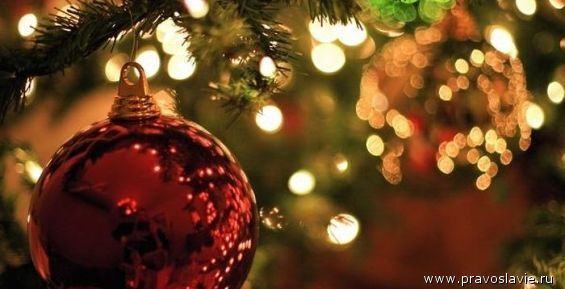 Новогоднюю елку установили в столице Чукотки