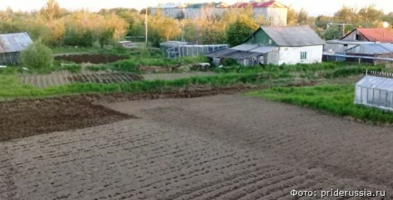 На Чукотке профинансируют сельскохозяйственные стартапы