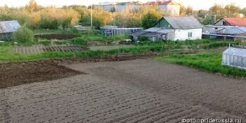 На Чукотке профинансируют сельскохозяйственные стартапы
