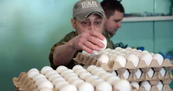 В Билибинский район наладят еженедельные поставки яиц из Анадыря