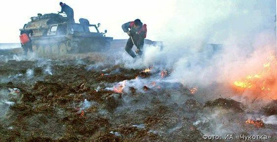 Количество лесных пожаров на Чукотке за год сократилось в 3,5 раза