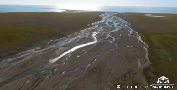 Про бескрайнюю арктическую тундру нацпарка «Берингия» сняли фильм